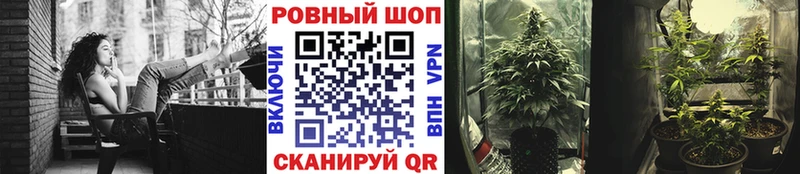 Наркотические вещества Талдом omg маркетплейс Меф мяу мяу АМФ Метамфетамин ГАШИШ Конопля